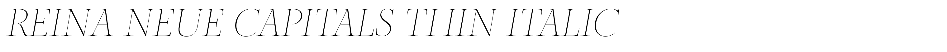 Reina Neue Capitals Thin Italic